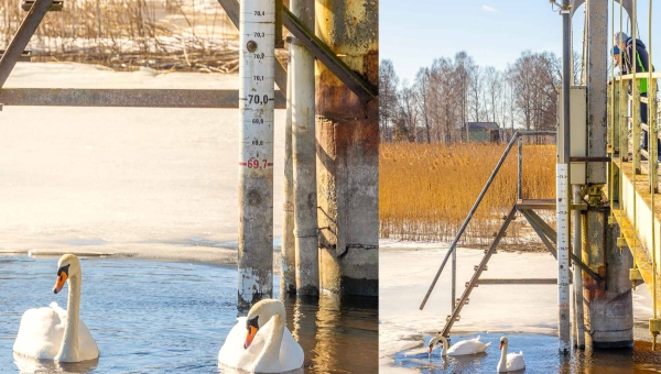 Olukorda, kus Tamula järve lumesulavesi ei mahu mööda Võhandu jõge ära voolama, praeguste prognooside kohaselt tekkimas ei ole. Foto: AIGAR NAGEL